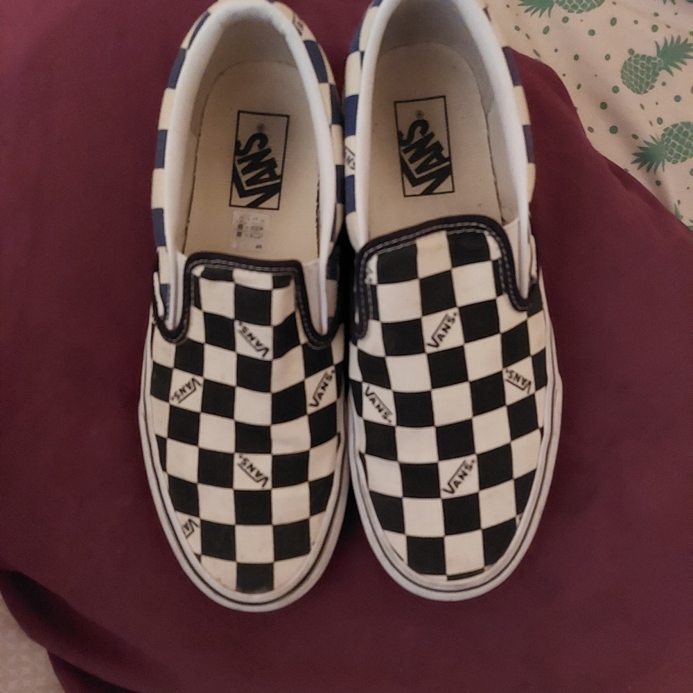 Checkered slip on vans